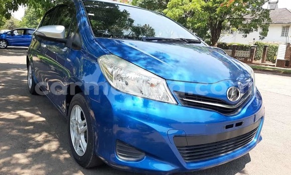 Buy Used Toyota Vitz Blue Car in Harare in Harare Buy Used Toyota Vitz Blue Car in Harare in Harare