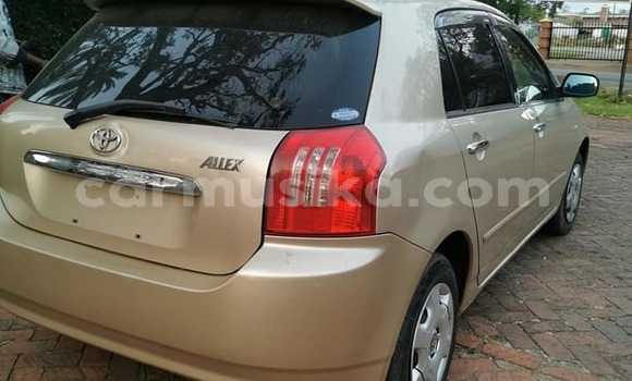 Buy Used Toyota Runx Brown Car in Harare in Harare