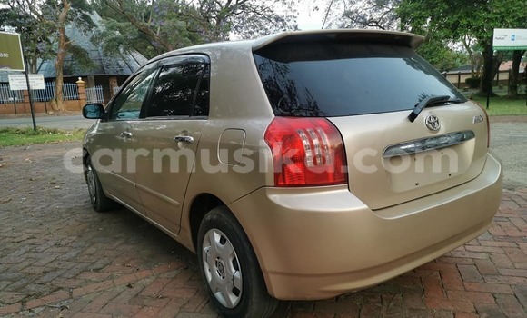 Buy Used Toyota Runx Brown Car in Harare in Harare Buy Used Toyota Runx Brown Car in Harare in Harare