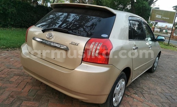 Buy Used Toyota Runx Brown Car in Harare in Harare Buy Used Toyota Runx Brown Car in Harare in Harare
