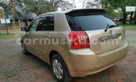 Buy Used Toyota Runx Brown Car in Harare in Harare Buy Used Toyota Runx Brown Car in Harare in Harare