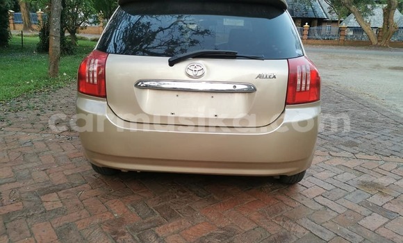 Buy Used Toyota Runx Brown Car in Harare in Harare Buy Used Toyota Runx Brown Car in Harare in Harare