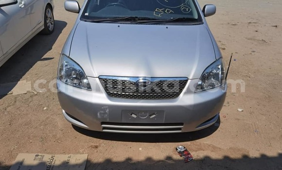 Buy Used Toyota Runx Silver Car in Harare in Harare Buy Used Toyota Runx Silver Car in Harare in Harare