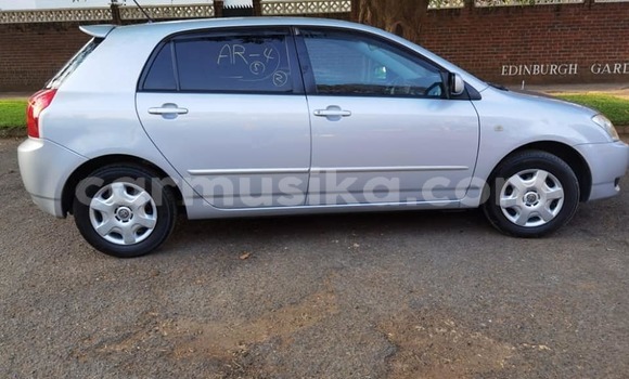 Buy Used Toyota Runx Silver Car in Harare in Harare Buy Used Toyota Runx Silver Car in Harare in Harare