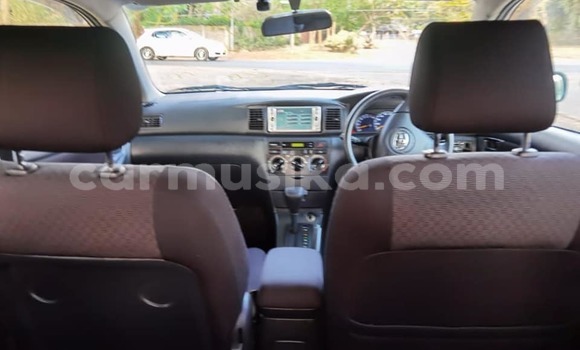 Buy Used Toyota Runx Silver Car in Harare in Harare Buy Used Toyota Runx Silver Car in Harare in Harare