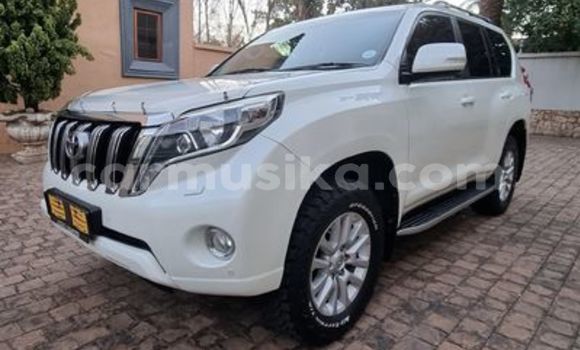 Buy Used Toyota Prado White Car in Beitbridge in Matabeleland South