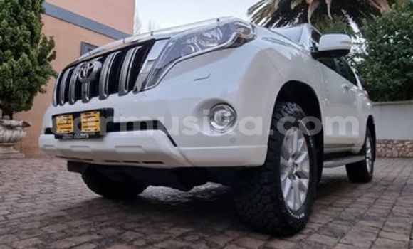 Tenga Tsaru Toyota Prado Chena Mota in Beitbridge in Matabeleland South Tenga Tsaru Toyota Prado Chena Mota in Beitbridge in Matabeleland South