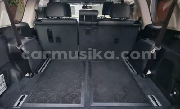 Tenga Tsaru Toyota Prado Chena Mota in Beitbridge in Matabeleland South Tenga Tsaru Toyota Prado Chena Mota in Beitbridge in Matabeleland South