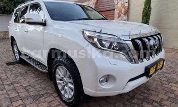 Tenga Tsaru Toyota Prado Chena Mota in Beitbridge in Matabeleland South Tenga Tsaru Toyota Prado Chena Mota in Beitbridge in Matabeleland South