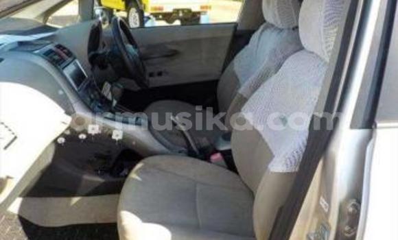 Acheter Occasion Voiture Toyota Auris Gris à Beitbridge, Matabeleland South Acheter Occasion Voiture Toyota Auris Gris à Beitbridge, Matabeleland South