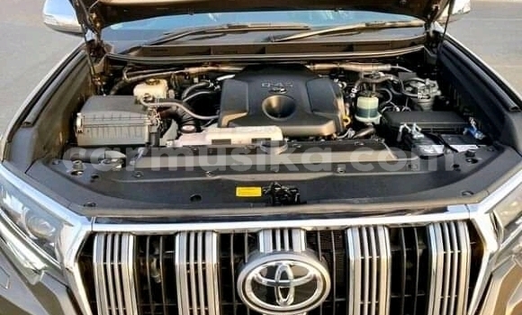 Acheter Occasion Voiture Toyota Land Cruiser Prado Marron à Borrowdale, Harare Acheter Occasion Voiture Toyota Land Cruiser Prado Marron à Borrowdale, Harare