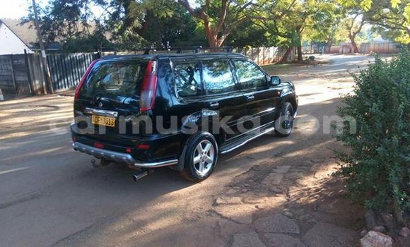 Tenga Tsaru Nissan X–Trail Nhema Mota in Alexandra Park in Harare Tenga Tsaru Nissan X–Trail Nhema Mota in Alexandra Park in Harare