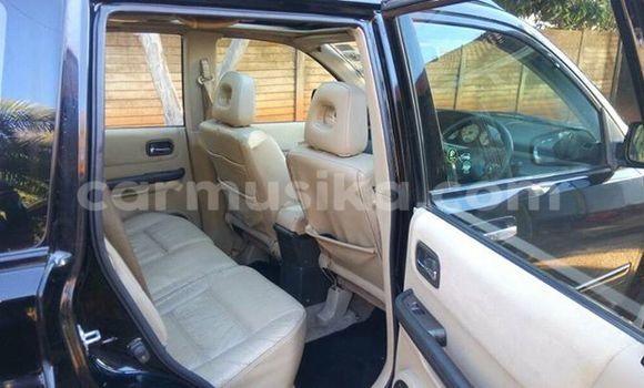 Tenga Tsaru Nissan X–Trail Nhema Mota in Alexandra Park in Harare Tenga Tsaru Nissan X–Trail Nhema Mota in Alexandra Park in Harare