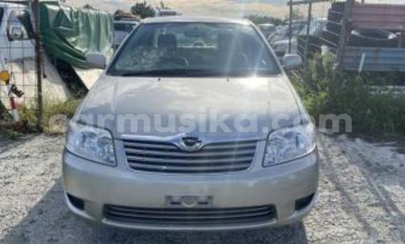 Nunua Ilio tumika Toyota Corolla Beige Gari ndani ya Beitbridge nchini Matabeleland Kusini