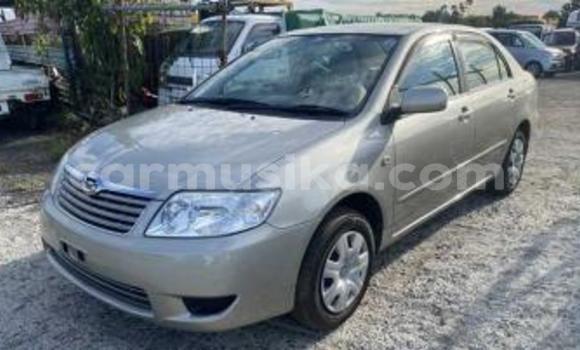 Acheter Occasion Voiture Toyota Corolla Beige à Beitbridge, Matabeleland South Acheter Occasion Voiture Toyota Corolla Beige à Beitbridge, Matabeleland South