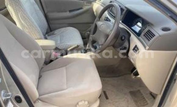 Acheter Occasion Voiture Toyota Corolla Beige à Beitbridge, Matabeleland South Acheter Occasion Voiture Toyota Corolla Beige à Beitbridge, Matabeleland South