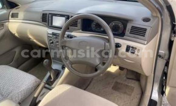 Acheter Occasion Voiture Toyota Corolla Beige à Beitbridge, Matabeleland South Acheter Occasion Voiture Toyota Corolla Beige à Beitbridge, Matabeleland South