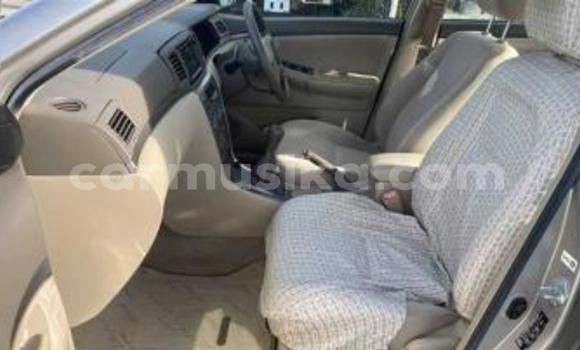 Acheter Occasion Voiture Toyota Corolla Beige à Beitbridge, Matabeleland South Acheter Occasion Voiture Toyota Corolla Beige à Beitbridge, Matabeleland South