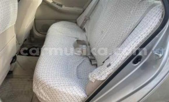 Acheter Occasion Voiture Toyota Corolla Beige à Beitbridge, Matabeleland South Acheter Occasion Voiture Toyota Corolla Beige à Beitbridge, Matabeleland South