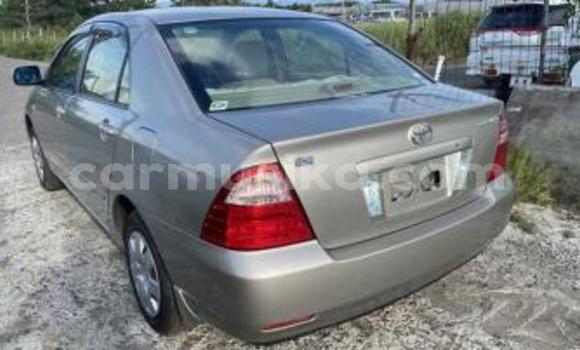 Acheter Occasion Voiture Toyota Corolla Beige à Beitbridge, Matabeleland South Acheter Occasion Voiture Toyota Corolla Beige à Beitbridge, Matabeleland South