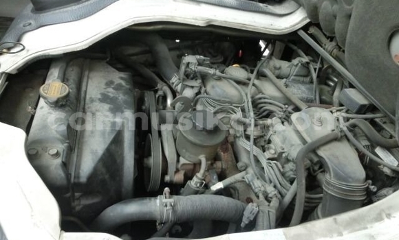 Buy Used Toyota Dyna White Truck in Beitbridge in Matabeleland South Buy Used Toyota Dyna White Truck in Beitbridge in Matabeleland South