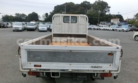 Buy Used Toyota Dyna White Truck in Beitbridge in Matabeleland South Buy Used Toyota Dyna White Truck in Beitbridge in Matabeleland South