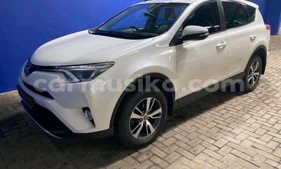 Buy Used Toyota RAV4 White Car in Victoria Falls in Matabeleland North