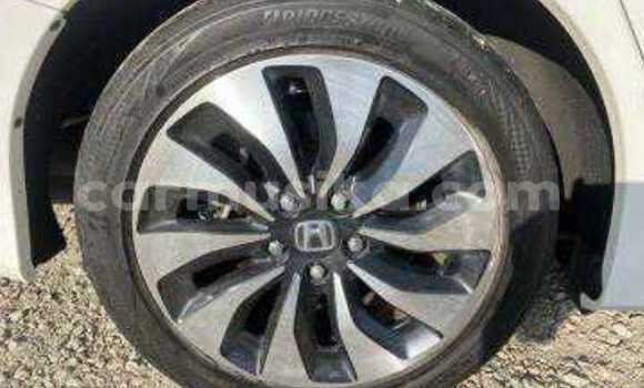 Tenga Tsaru Honda Accord Chena Mota in Beitbridge in Matabeleland South Tenga Tsaru Honda Accord Chena Mota in Beitbridge in Matabeleland South