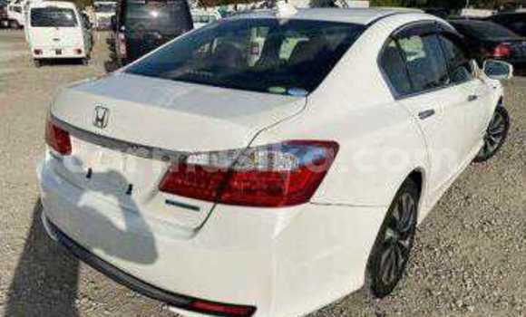 Tenga Tsaru Honda Accord Chena Mota in Beitbridge in Matabeleland South Tenga Tsaru Honda Accord Chena Mota in Beitbridge in Matabeleland South