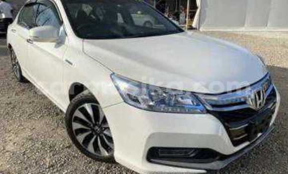 Tenga Tsaru Honda Accord Chena Mota in Beitbridge in Matabeleland South Tenga Tsaru Honda Accord Chena Mota in Beitbridge in Matabeleland South