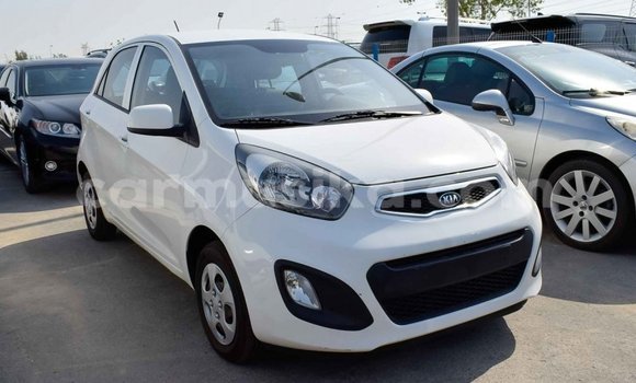 Tenga Imported Kia Picanto Chena Mota in Import - Dubai in Harare Tenga Imported Kia Picanto Chena Mota in Import - Dubai in Harare
