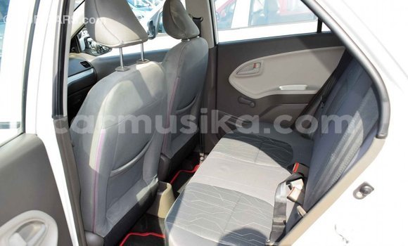 Tenga Imported Kia Picanto Chena Mota in Import - Dubai in Harare Tenga Imported Kia Picanto Chena Mota in Import - Dubai in Harare