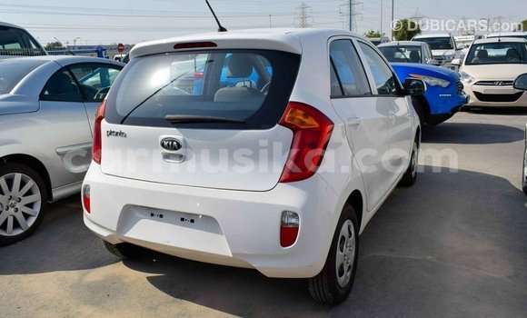 Tenga Imported Kia Picanto Chena Mota in Import - Dubai in Harare Tenga Imported Kia Picanto Chena Mota in Import - Dubai in Harare