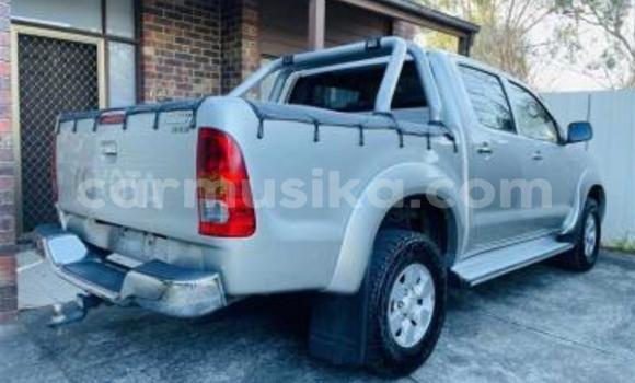 Acheter Occasion Voiture Toyota Hilux Beige à Beitbridge, Matabeleland South Acheter Occasion Voiture Toyota Hilux Beige à Beitbridge, Matabeleland South