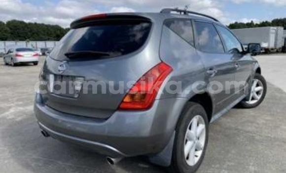 Nunua Ilio tumika Nissan Murano Fedha Gari ndani ya Beitbridge nchini Matabeleland Kusini Nunua Ilio tumika Nissan Murano Fedha Gari ndani ya Beitbridge nchini Matabeleland Kusini