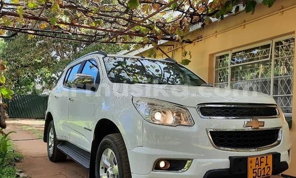 Acheter Occasion Voiture Chevrolet TrailBlazer Blanc à Harare, Harare