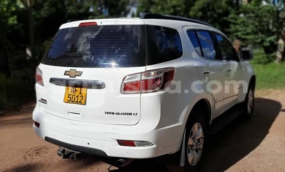 Buy Used Chevrolet TrailBlazer White Car in Harare in Harare Buy Used Chevrolet TrailBlazer White Car in Harare in Harare