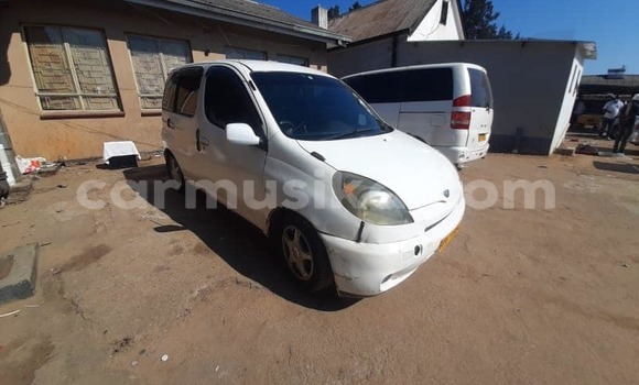 Buy Used Toyota FunCargo White Car in Masvingo in Masvingo Buy Used Toyota FunCargo White Car in Masvingo in Masvingo