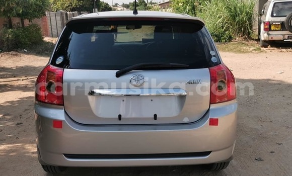 Buy Used Toyota Allex Silver Car in Masvingo in Masvingo Buy Used Toyota Allex Silver Car in Masvingo in Masvingo
