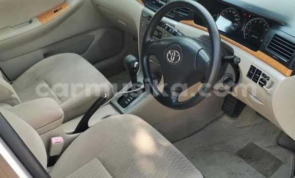 Buy Used Toyota Allex Silver Car in Masvingo in Masvingo Buy Used Toyota Allex Silver Car in Masvingo in Masvingo