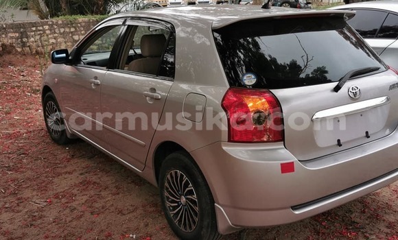 Buy Used Toyota Allex Silver Car in Masvingo in Masvingo Buy Used Toyota Allex Silver Car in Masvingo in Masvingo