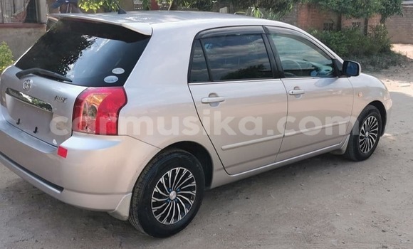 Buy Used Toyota Allex Silver Car in Masvingo in Masvingo Buy Used Toyota Allex Silver Car in Masvingo in Masvingo