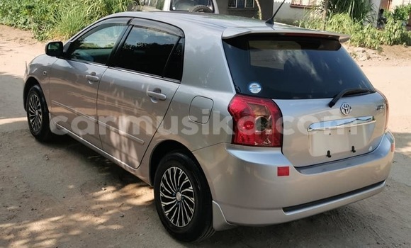 Buy Used Toyota Allex Silver Car in Masvingo in Masvingo Buy Used Toyota Allex Silver Car in Masvingo in Masvingo