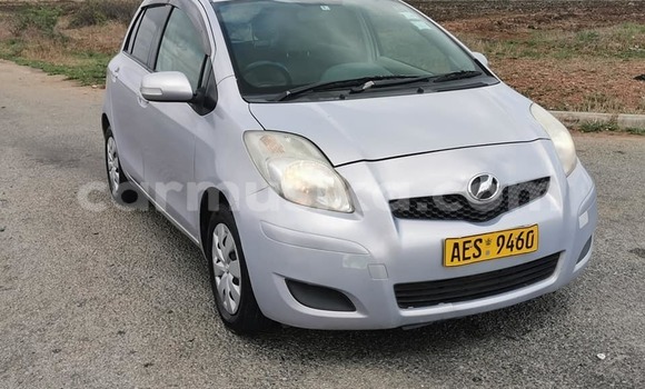 Buy Used Toyota Vitz Other Car in Masvingo in Masvingo Buy Used Toyota Vitz Other Car in Masvingo in Masvingo