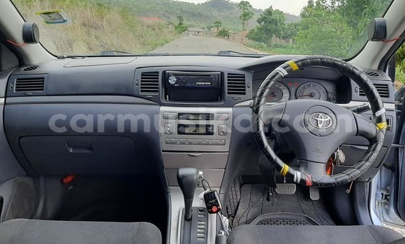 Buy Used Toyota Runx Blue Car in Masvingo in Masvingo Buy Used Toyota Runx Blue Car in Masvingo in Masvingo