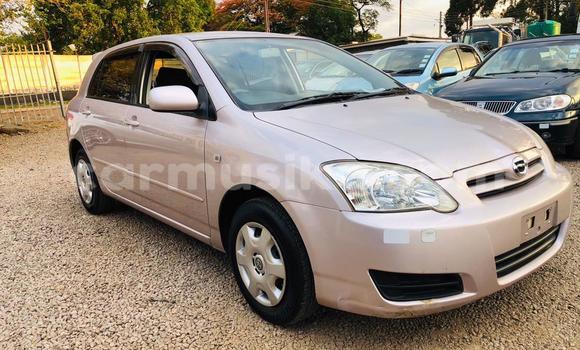 Nunua Ilio tumika Toyota Runx Fedha Gari ndani ya Avondale nchini Harare Nunua Ilio tumika Toyota Runx Fedha Gari ndani ya Avondale nchini Harare