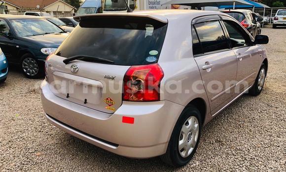 Nunua Ilio tumika Toyota Runx Fedha Gari ndani ya Avondale nchini Harare Nunua Ilio tumika Toyota Runx Fedha Gari ndani ya Avondale nchini Harare