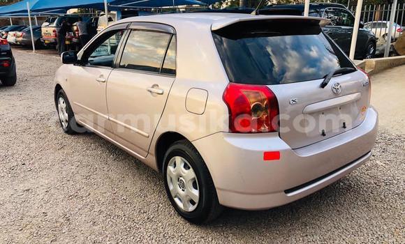 Nunua Ilio tumika Toyota Runx Fedha Gari ndani ya Avondale nchini Harare Nunua Ilio tumika Toyota Runx Fedha Gari ndani ya Avondale nchini Harare