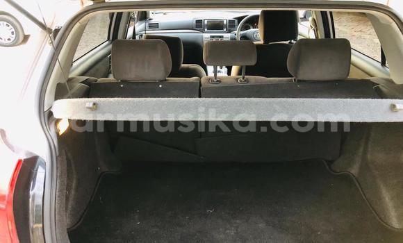 Nunua Ilio tumika Toyota Runx Fedha Gari ndani ya Avondale nchini Harare Nunua Ilio tumika Toyota Runx Fedha Gari ndani ya Avondale nchini Harare