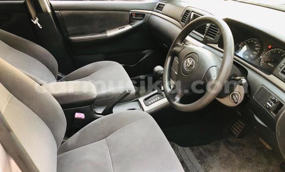 Nunua Ilio tumika Toyota Runx Fedha Gari ndani ya Avondale nchini Harare Nunua Ilio tumika Toyota Runx Fedha Gari ndani ya Avondale nchini Harare